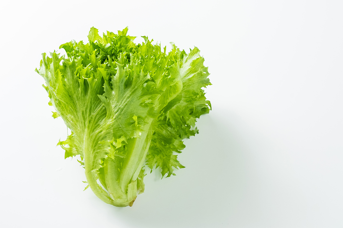 野菜 NHK 趣味の園芸 やさいの時間 2022年6月・7月号 (発売日2022年05月21日